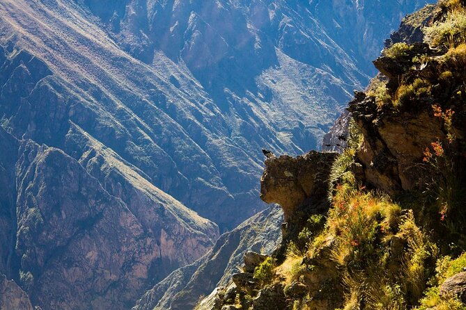 explore-the-colca-canyon-from-arequipa-2-days-and-1-night