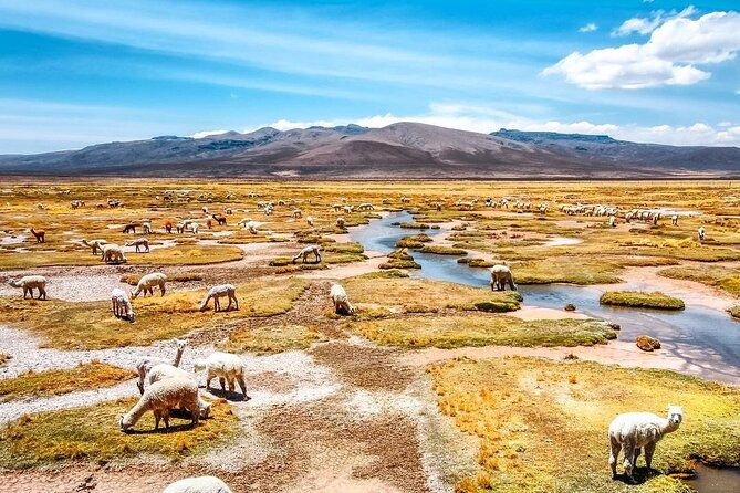 explore-the-colca-canyon-from-arequipa-2-days-and-1-night
