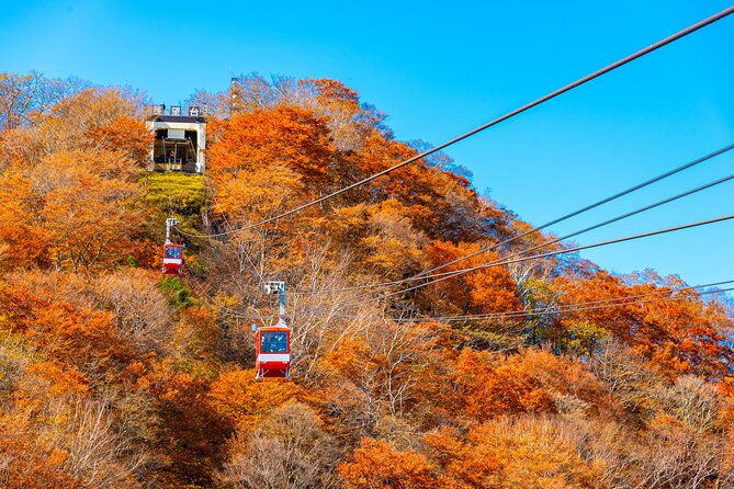 explore-the-culture-and-history-of-nikko-with-this-private-tour