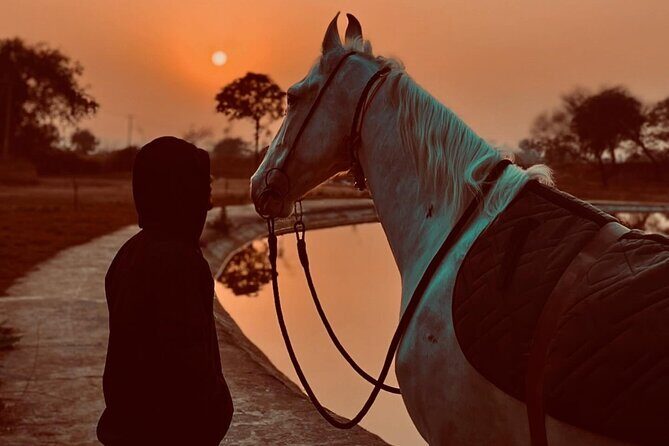 Explore The Desert &The Sea on a Horse Riding Cruise in Hurghada - Exploring the Desert & Sea on a Horse Riding Cruise in Hurghada