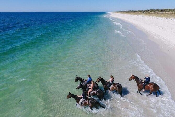 Explore The Desert &The Sea on a Horse Riding Cruise in Hurghada - An In-Depth Look at the Horseback Riding Tour in Hurghada