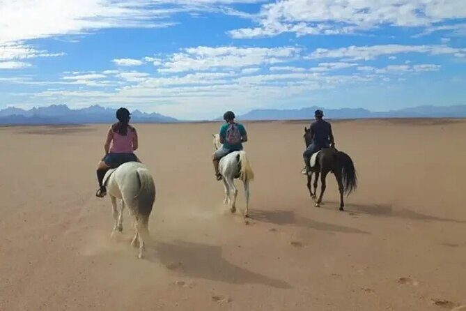 Explore The Desert &The Sea on a Horse Riding Cruise in Hurghada - Final Thoughts