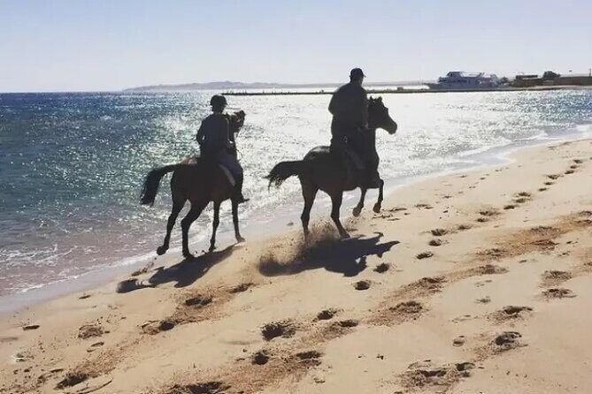 Explore The Desert &The Sea on a Horse Riding Cruise in Hurghada - FAQ