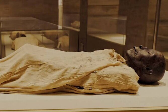 Explore The Egyptian History To Visit National Museum of Egyptian Civilization - Key Points