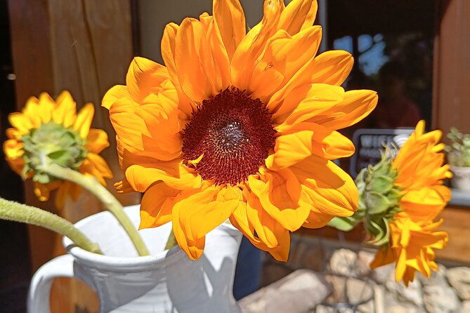 explore-the-elbe-sandstone-mountains-in-czech-republic