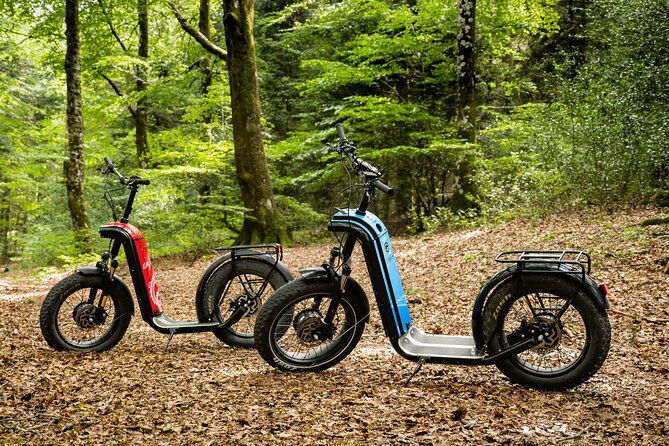 explore-the-forests-of-haut-languedoc-on-an-electric-scooter