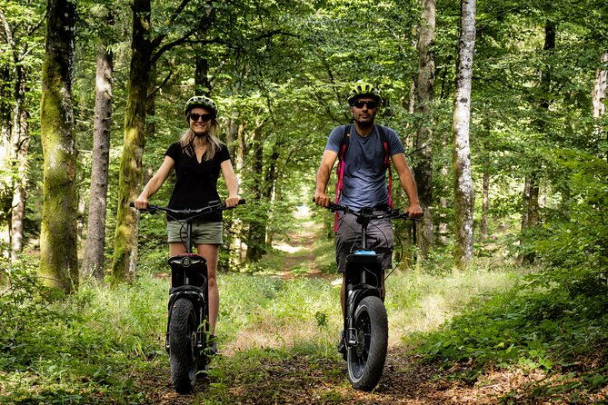 explore-the-forests-of-haut-languedoc-on-an-electric-scooter