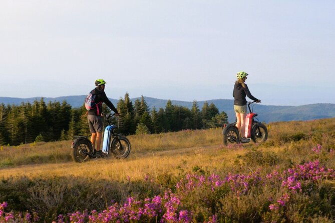 explore-the-forests-of-haut-languedoc-on-an-electric-scooter