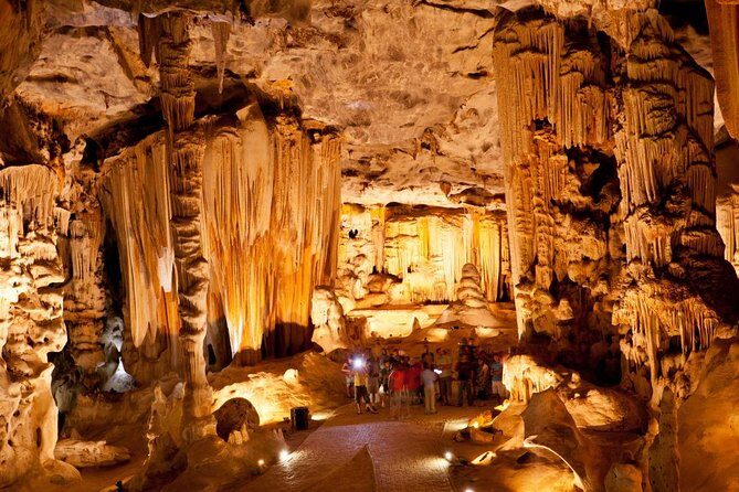 Explore the Garden Route from Port Elizabeth - 4 Days - Key Points