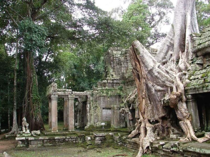 Explore the Grand Circuit Angkor Temples Private Tour - Authentic, Personalized, and Educational