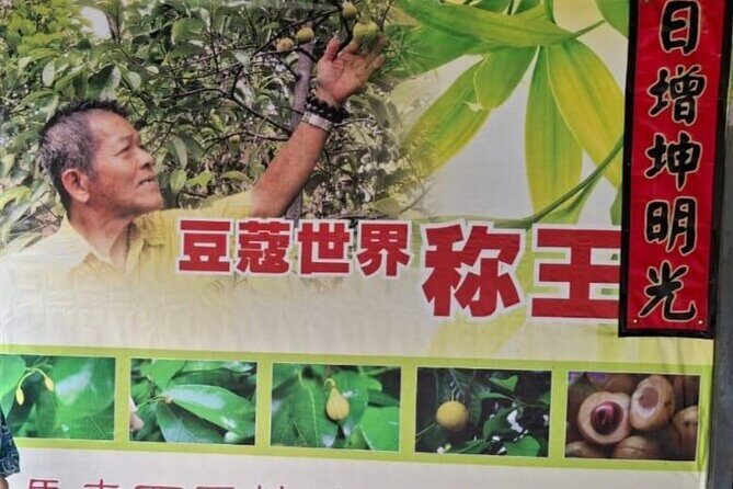 Explore The Hidden Gem of Penang at Balik Pulau - Key Points