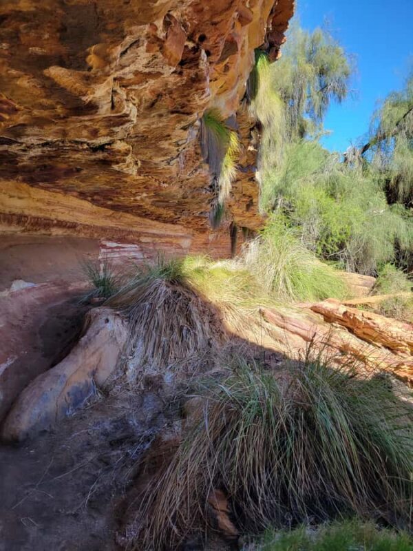 Explore the Hidden Gorges: Kalbarri N.P, 4WD, Hike, Canoe - Who Should Consider This Experience?