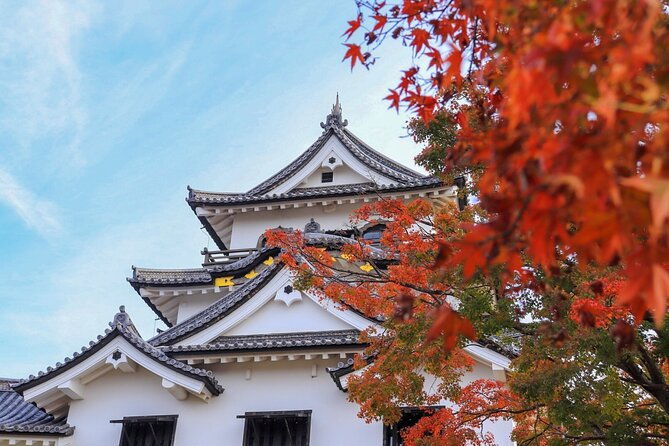 explore-the-historic-castle-town-of-hikone-from-osaka