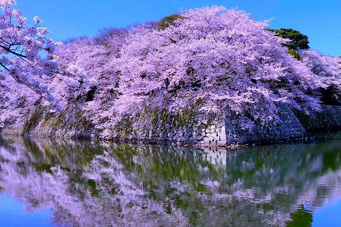 explore-the-historic-castle-town-of-hikone-from-osaka