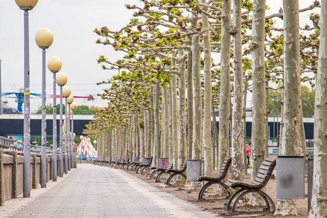 explore-the-instaworthy-spots-of-dusseldorf-with-a-local