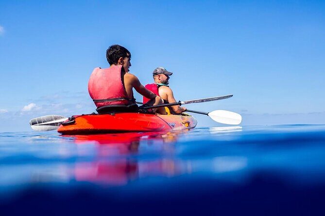 Explore the Island Dragonera by kayak - Who Will Love This Tour?