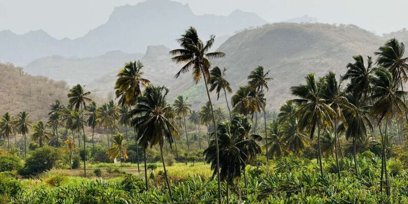 Explore the largest banana plantation in Cabo Verde - What To Expect: Practical Insights