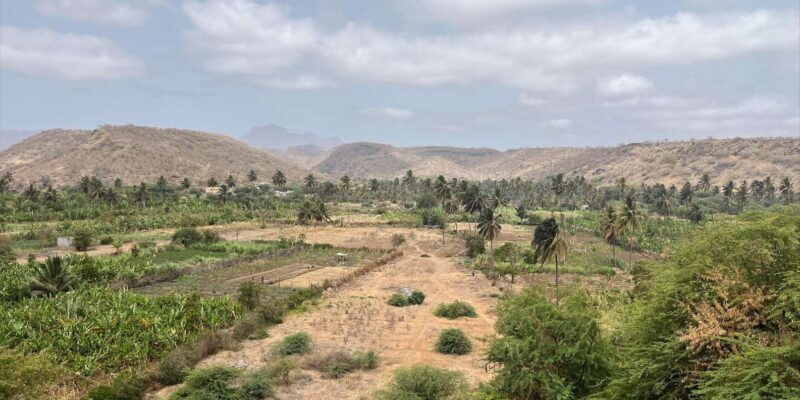 Explore the largest banana plantation in Cabo Verde - Who Will Love This Tour?