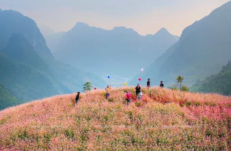 Explore the majestic Ha Giang with direct bus from Ha Noi - What’s Included and the Value It Offers