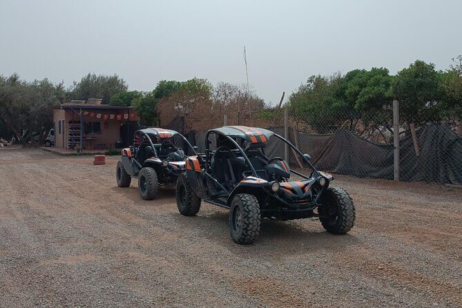 Explore the Marrakech Palm Desert in Buggy - Key Points