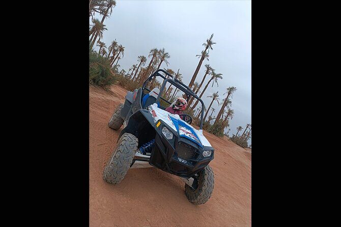 Explore the Marrakech Palm Desert in Buggy - Final Thoughts on the Marrakech Buggy Tour