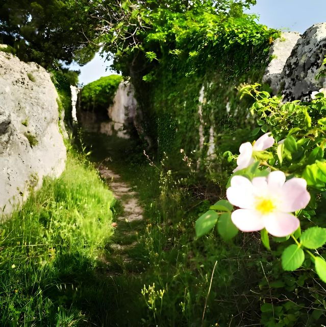 explore-the-murgia-materana-unesco-park-italian-spanish