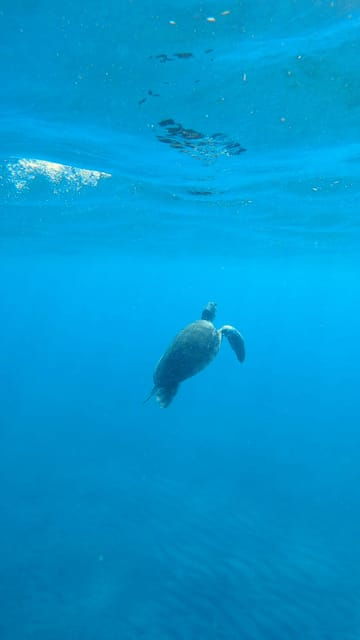 explore-the-ocean-snorkeling-for-beginners-los-cristianos