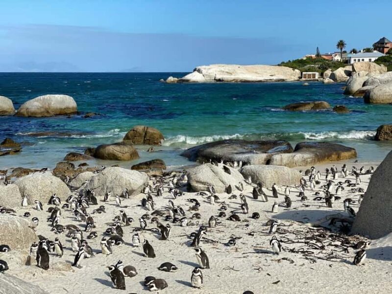 Explore the Peninsula Like Never Before: - An Introduction to the Tour