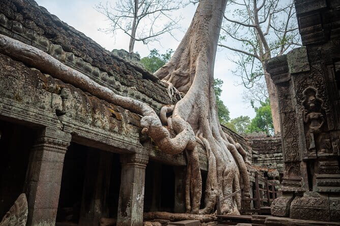 Explore the real Siem Reap Cambodia with a local guide - An Overview of the Experience