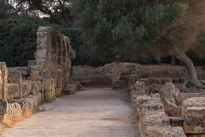 Explore the Ruins of Tipaza and Cherchell - Stop 2: Archeological Public Museum of Cherchell (2 hours)