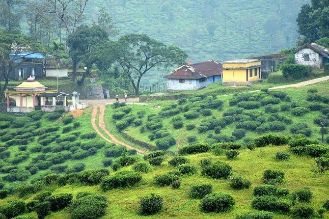 Explore The Rustic Life Of Thekkady - Key Points