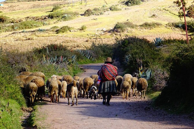explore-the-sacred-valley-with-us