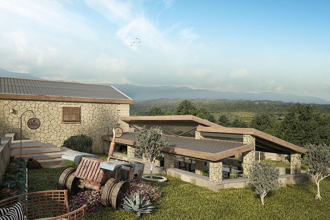 explore-the-secrets-of-wine-and-olives-2