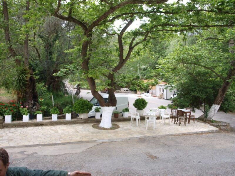 explore-the-secrets-of-wine-and-olives-in-chania