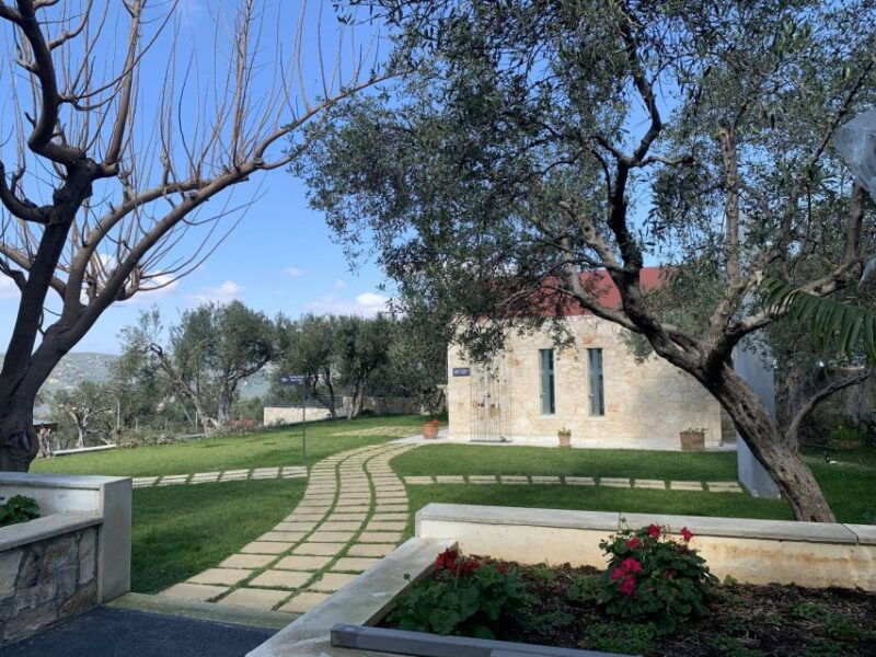 explore-the-secrets-of-wine-and-olives-in-chania