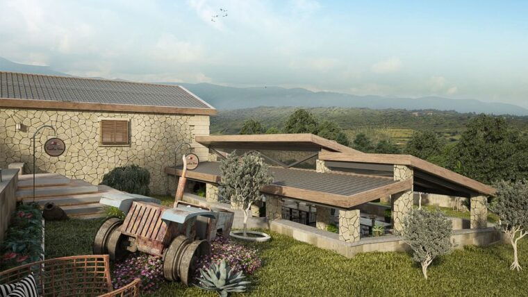 explore-the-secrets-of-wine-and-olives-in-chania