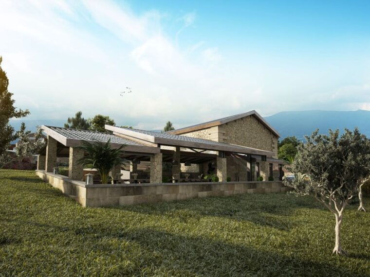 explore-the-secrets-of-wine-and-olives-in-chania