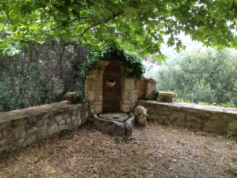 explore-the-secrets-of-wine-and-olives-in-chania