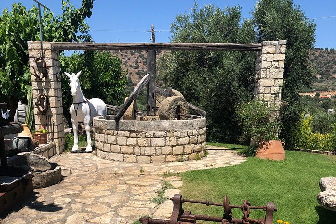 explore-the-secrets-of-wine-and-olives-in-rethymno