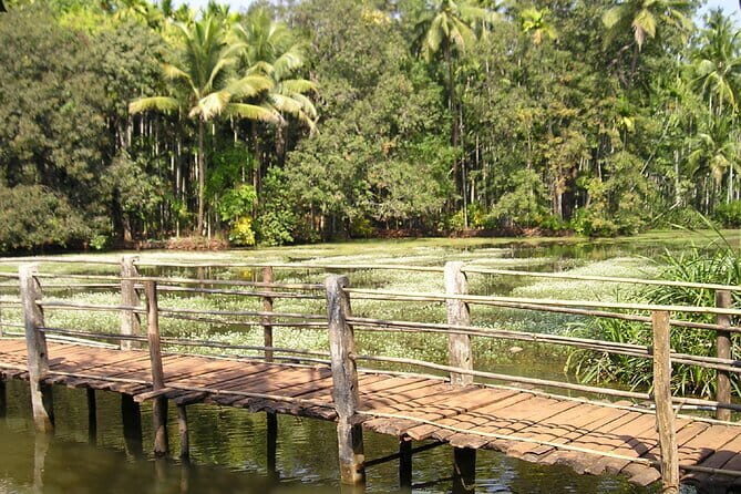 Explore The South Goa Full-Day City Sightseeing Tour - Beachside Relaxation & Market Stroll