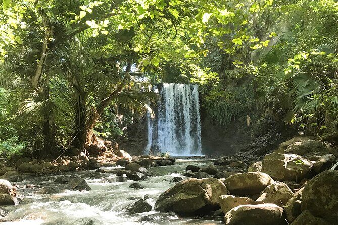 Explore The Wild South - Final Thoughts