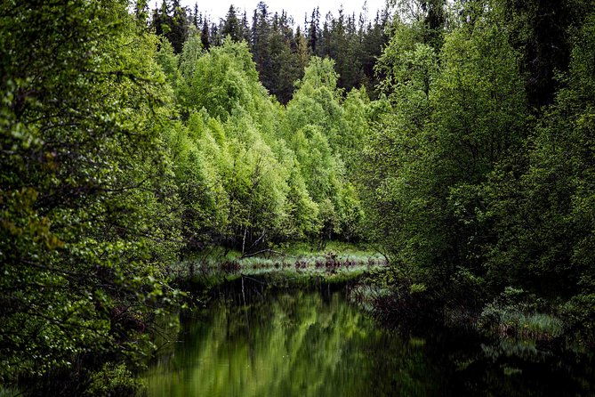 explore-the-wilderness-summer-autumn