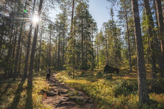 explore-the-wilderness-summer-autumn