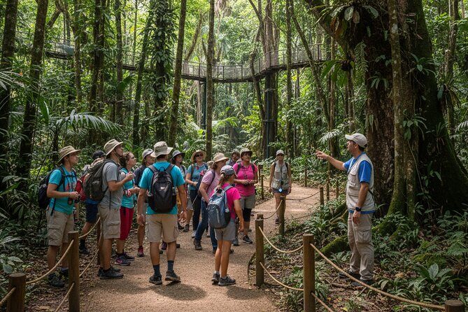 Explore the Wonders of New Caledonia from Noumea Cruise Terminal - Practical Details and Considerations