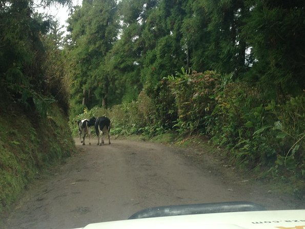 explore-the-wonders-of-sete-cidades-west-side-on-a-jeep-tour