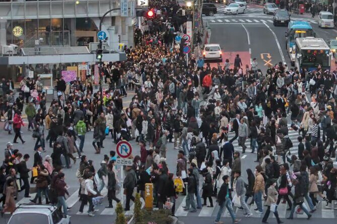 Explore Tokyo on a Private Walking Tour - FAQ