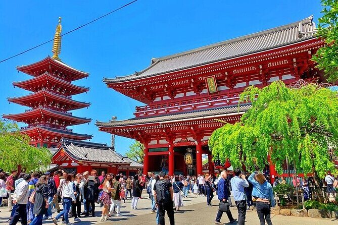 Explore Tokyos History on Foot Asakusa Kappabashi and Ueno - Pricing and Value