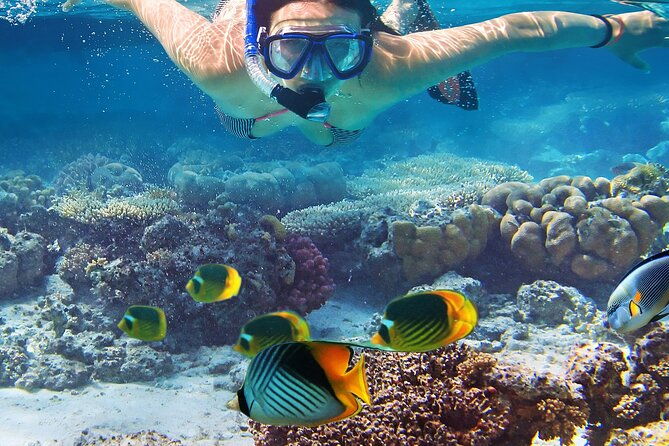explore-turtle-canyons-waikiki-snorkel-and-sail-adventure