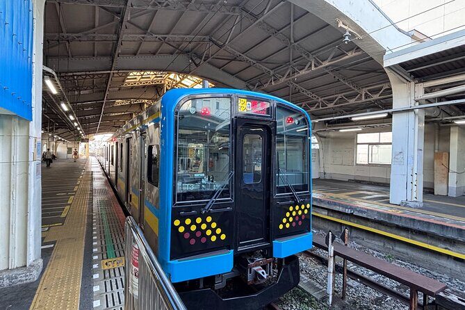 Explore Urban Hidden Yokohama Tsurumi Line with Expert Guide - Key Points