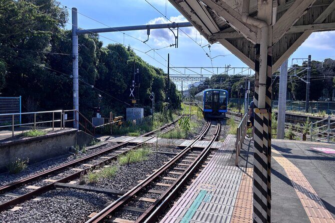 Explore Urban Hidden Yokohama Tsurumi Line with Expert Guide - Who Will Love This Tour?
